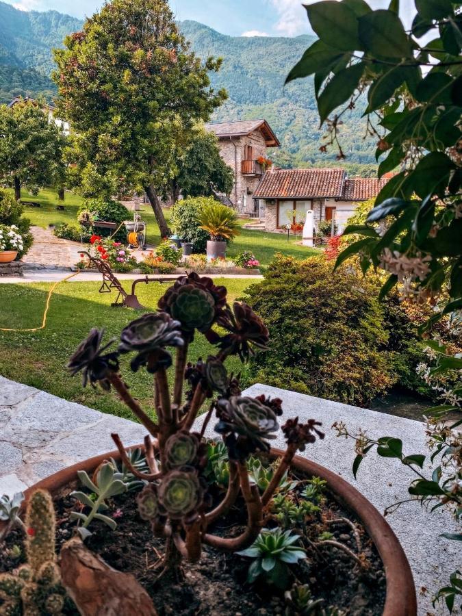Il Fienile - Lake Como Heritage Home In Molino Maufet Watermill - Lake View Terrace Colico Bagian luar foto
