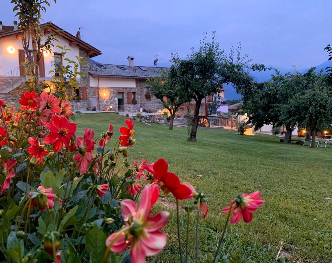 Il Fienile - Lake Como Heritage Home In Molino Maufet Watermill - Lake View Terrace Colico Bagian luar foto